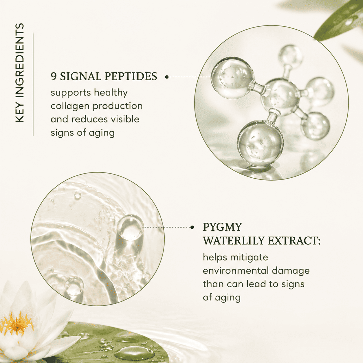 Drunk Elephant Protini Polypeptide Cream - Firming Moisturizer - Clean Clinical Skincare - Cruelty-Free - Dermatologist-Tested - Free of Essential Oils, Silicones, and Fragrance