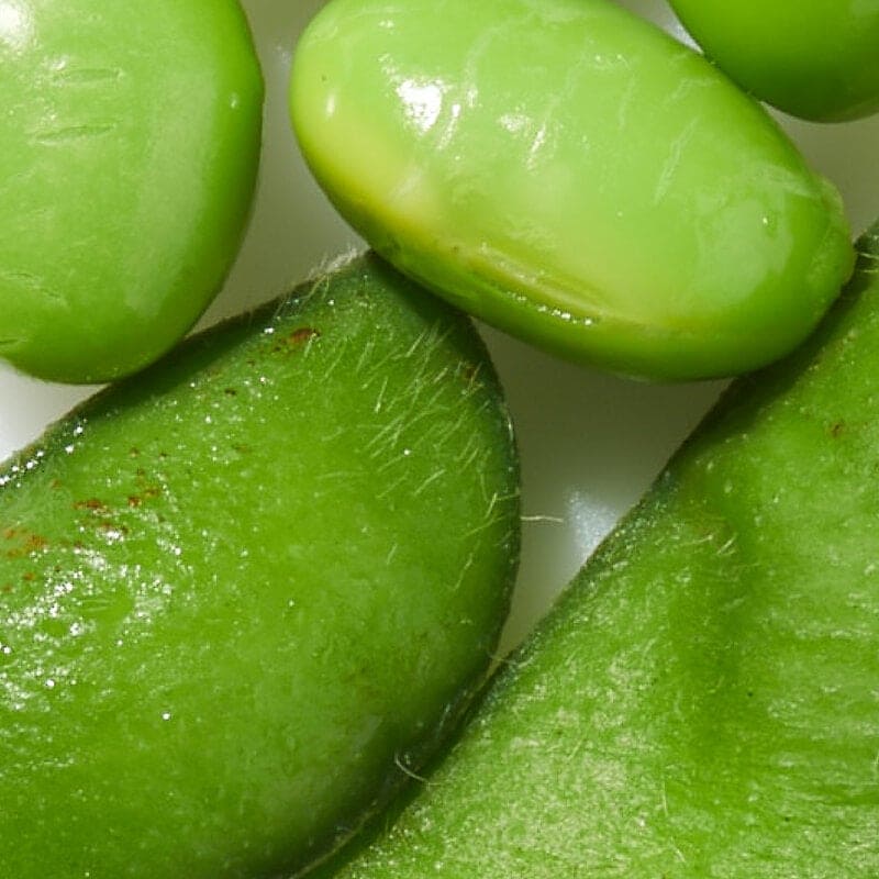 Soybean folic acid ferment extract